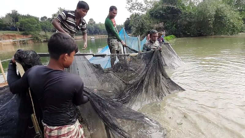  ছবি: প্রথম আলো