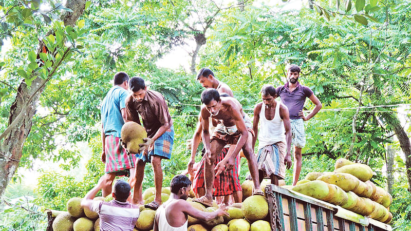 ছবি: প্রথম আলো