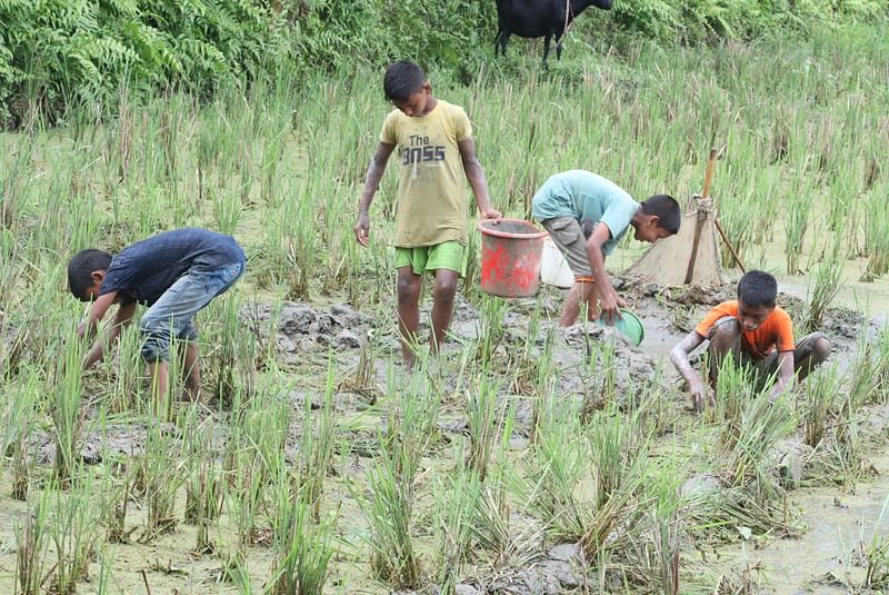 ছবি: মঈনুল ইসলাম