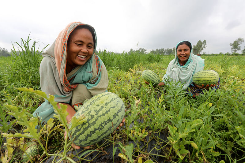 ছবি: সোয়েল রানা