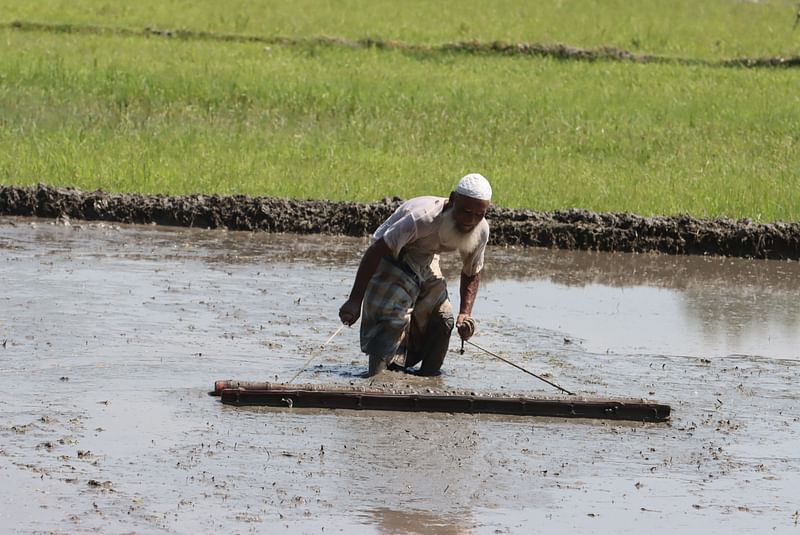  ছবি: মঈনুল ইসলাম 