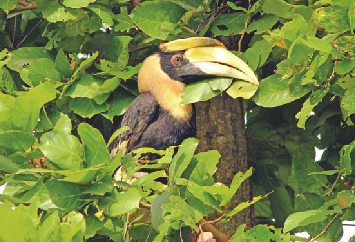 ছবি: লেখক