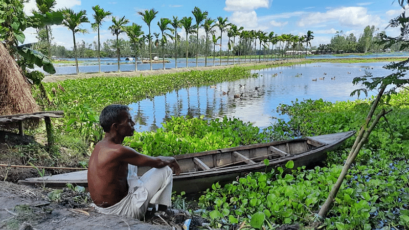  ছবি: প্রথম আলো