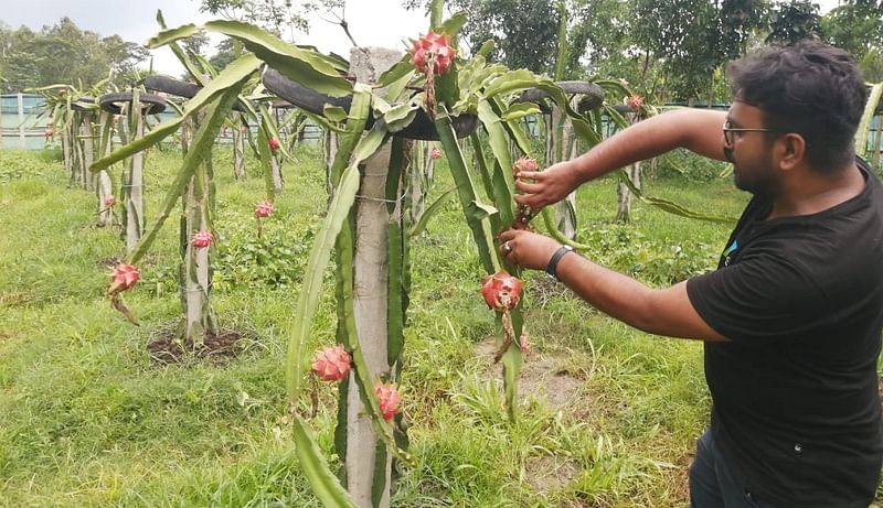 ছবি: প্রথম আলো