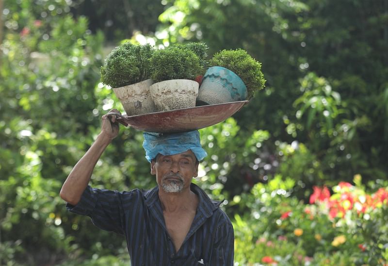 স্টলে সাজিয়ে রাখার জন্য আনা হচ্ছে গাছের চারা।
