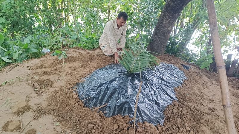 ছবি: প্রথম আলো