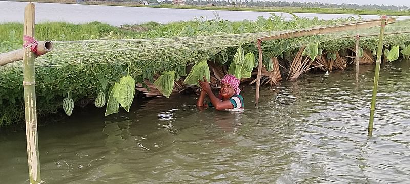 ছবি: প্রথম আলো