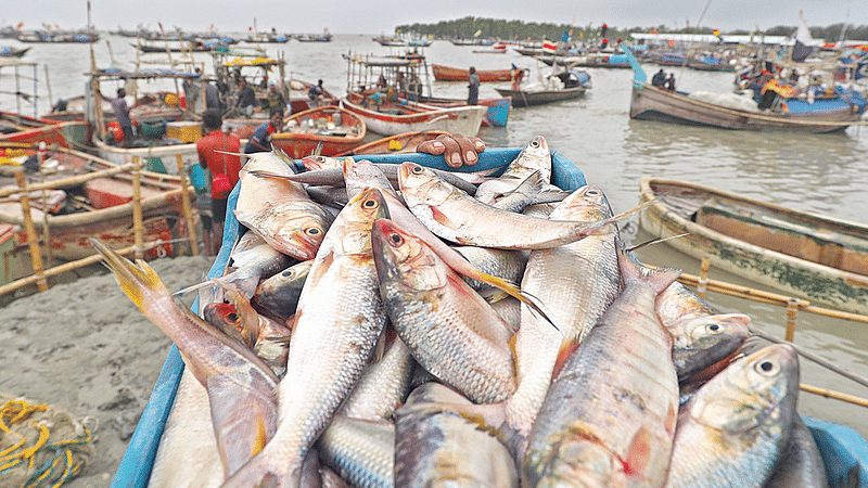 ছবি: জুয়েল শীল