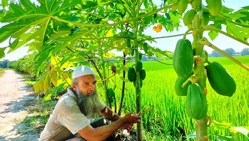 ছবি: রাজিউল ইসলাম