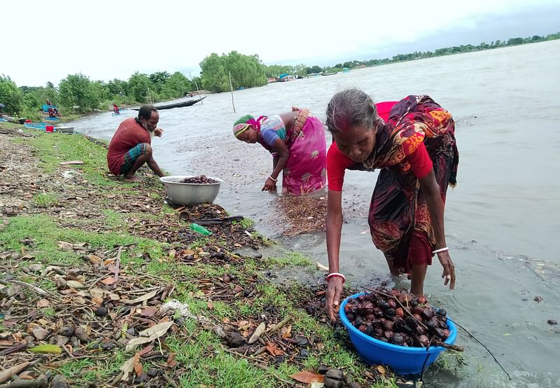 ছবি: ইমতিয়াজ উদ্দীন