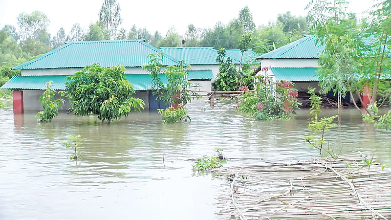 ছবি: প্রথম আলো 