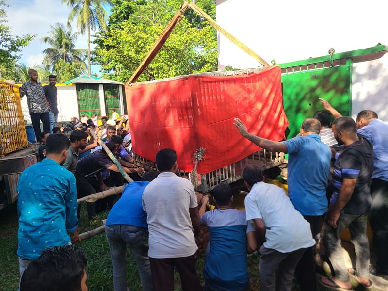 আজ মঙ্গলবার বেলা তিনটার দিকে লাল কাপড়ে মোড়ানো লোহার দুটি খাঁচা এসে পৌঁছায় রংপুর চিড়িয়াখানার ফটকে। পরে সেখান থেকে ঢাকঢোল পিটিয়ে বরণ করা হয় রোমিও-জুলিয়েটকে