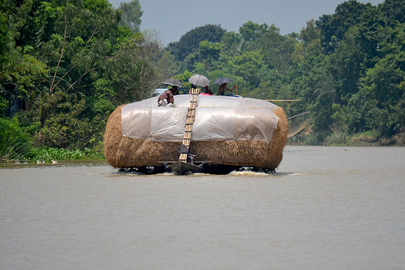 ছবি: হাসান মাহমুদ  