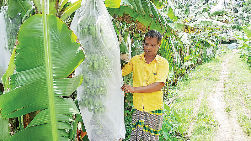 ছবি: প্রথম আলো 