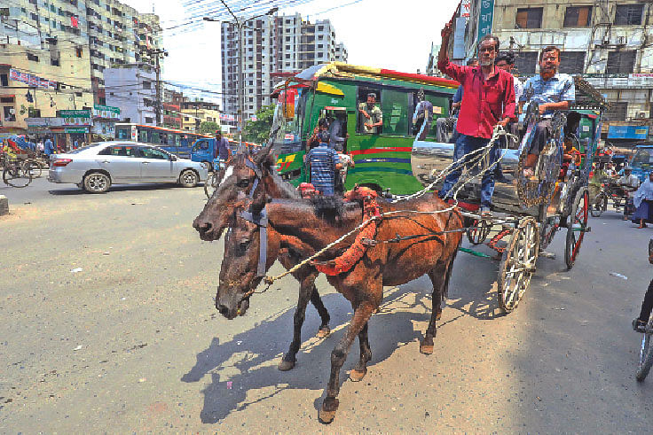 ছবি: দীপু মালাকার