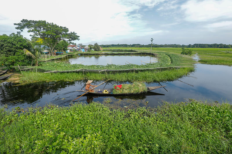 ছবি: সাদ্দাম হোসেন