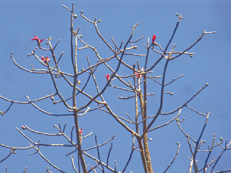 ছবি: লেখক