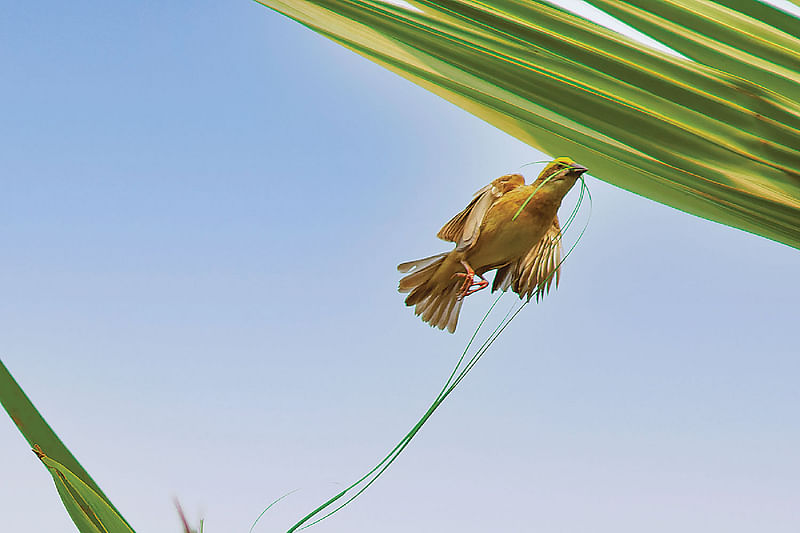 ছবি: লেখক