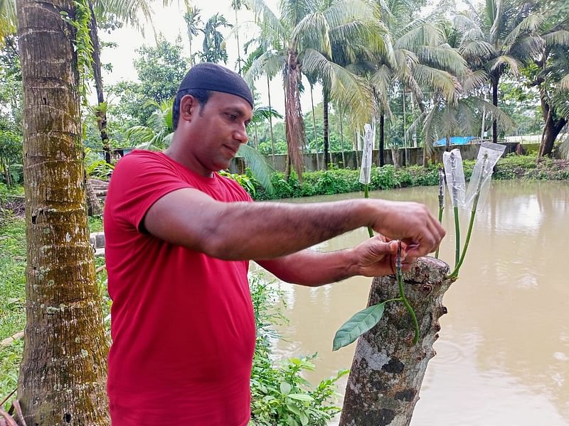 ছবি: ইকবাল হোসেন