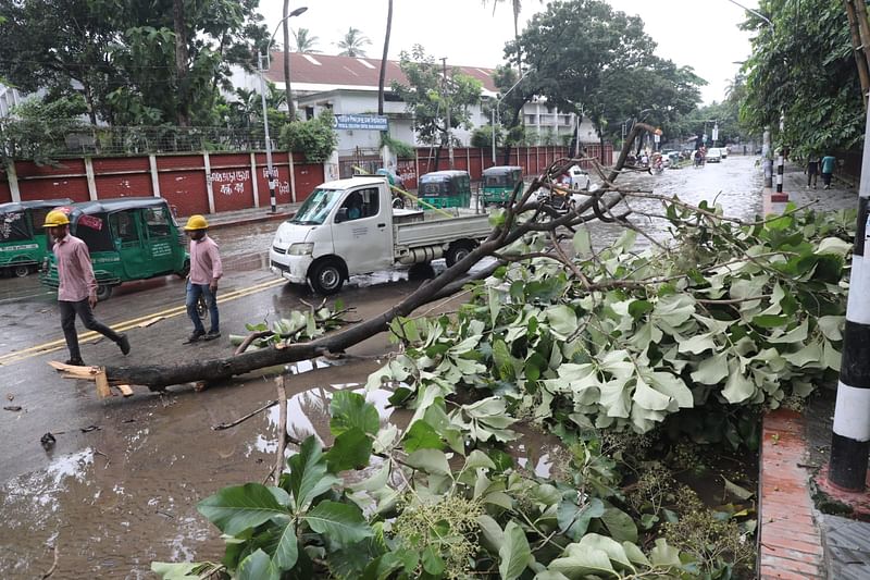 ঝড়ে পড়া গাছের ডালপালা সরিয়ে নেওয়া হচ্ছে। দোয়েল চত্বর।