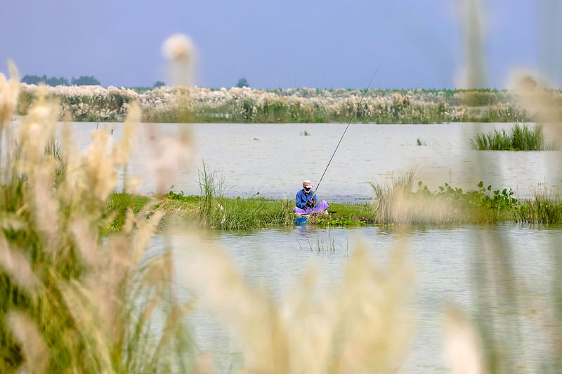 ছবি: হাসান মাহমুদ 