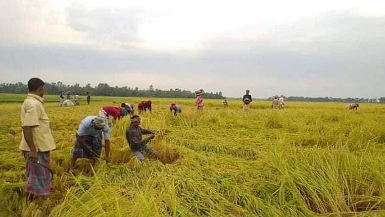 ‘উত্তরাঞ্চলকে বলা হয় বাংলাদেশের শস্যভান্ডার। বাংলাদেশের বেশির ভাগ মানুষের খাদ্যের জোগান হয় উত্তরাঞ্চলের ভূমি থেকে।’ 