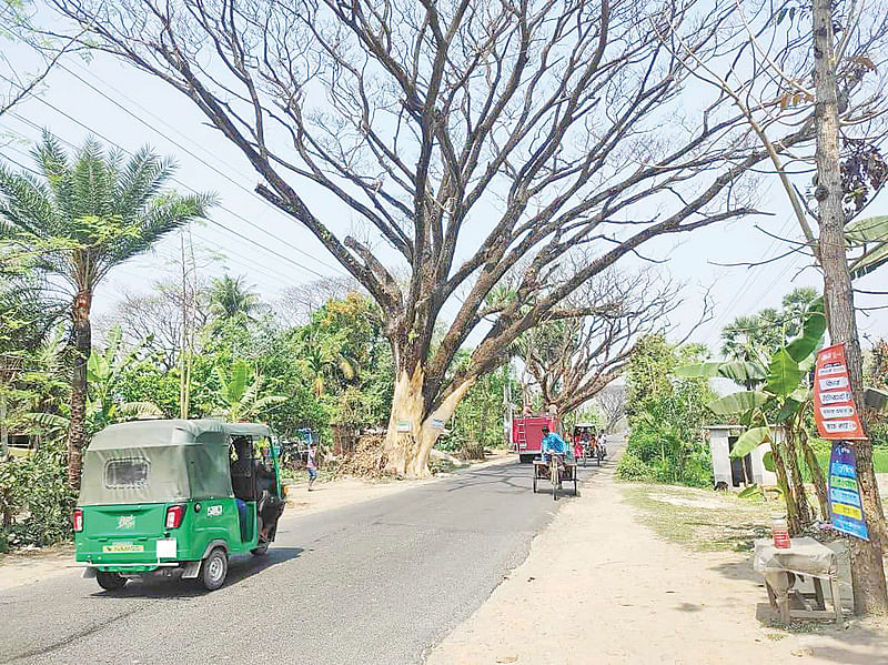 ছবি: প্রথম আলো 