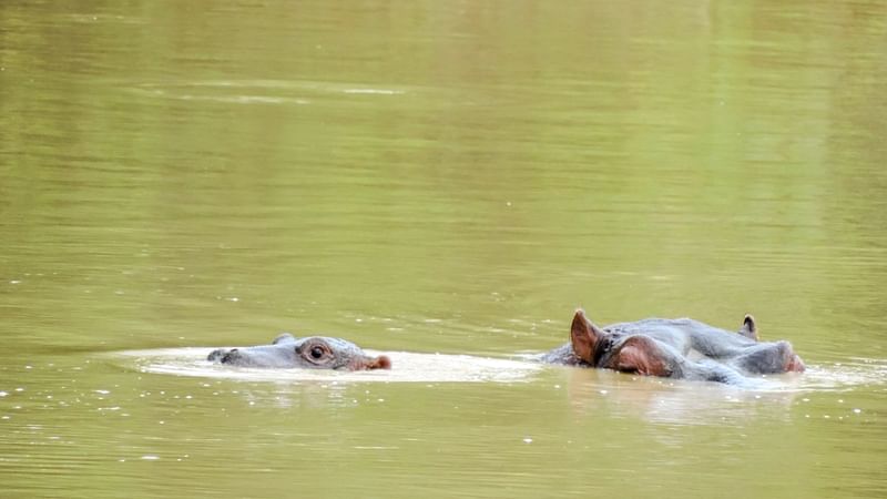 ছবি: প্রথম আলো