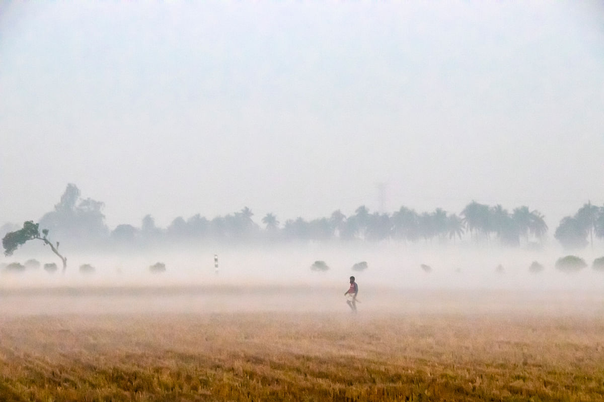 ধান ঘরে তোলার পর সেই ফাঁকা মাঠ