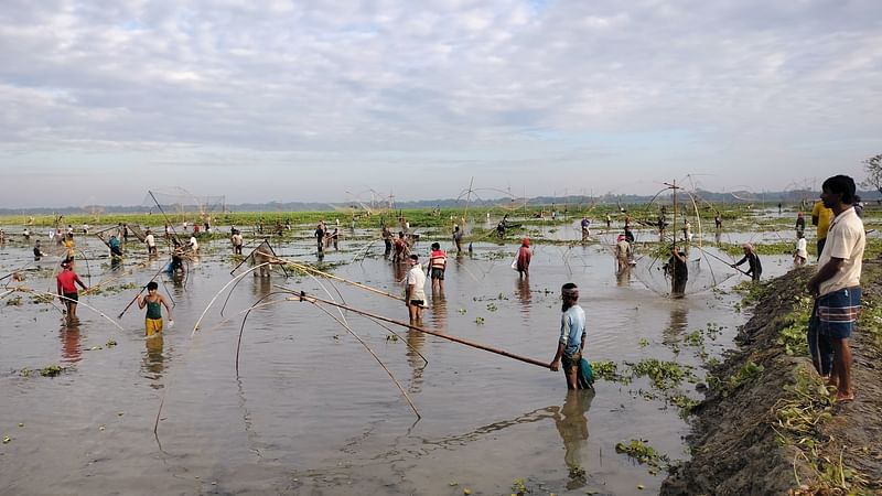 শৌখিন মাছশিকারিরা যখন মাছ শিকারে ব্যস্ত, তখন বিলপাড়ে দাঁড়িয়ে তা দেখছেন কয়েকজন 