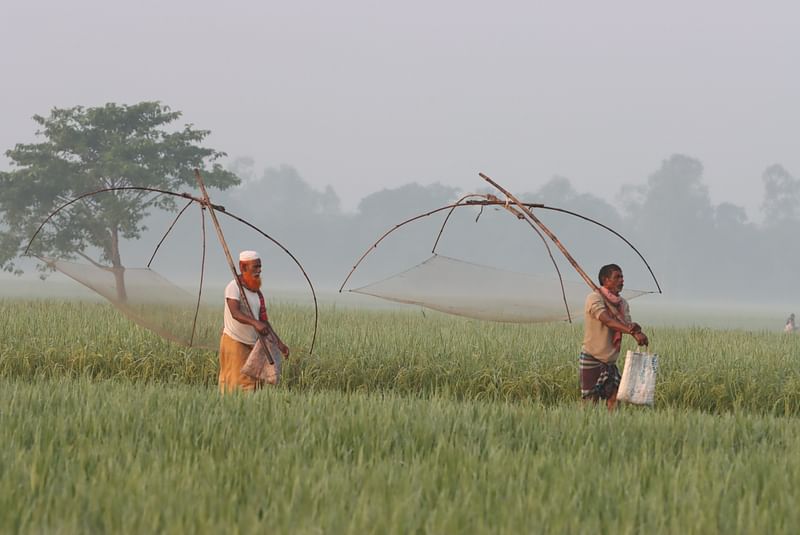 ছবি: মঈনুল ইসলাম