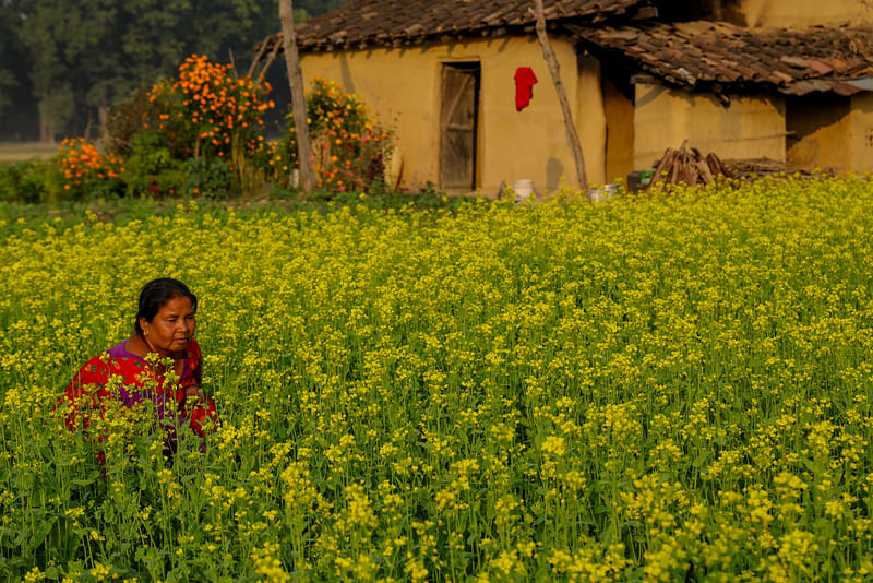 ছবি: সাবিনা ইয়াসমিন