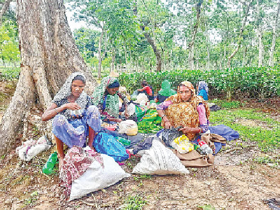 ছবি: কাজল হাজরা