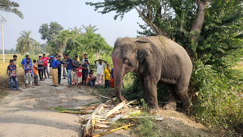 ছবি: প্রথম আলো