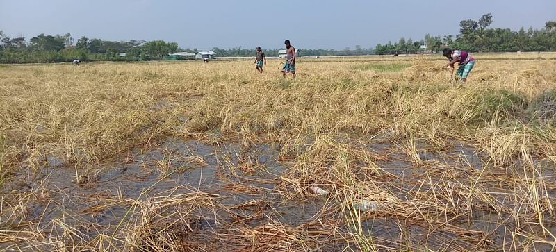 প্রথম আলো