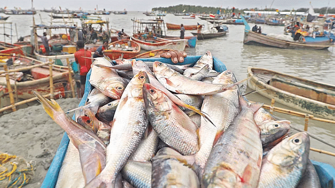 ছবি : প্রথম আলো