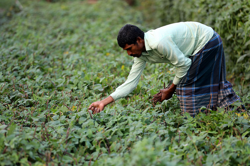  ছবি: সোয়েল রানা