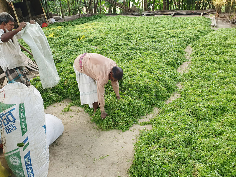 ছবি: প্রথম আলো