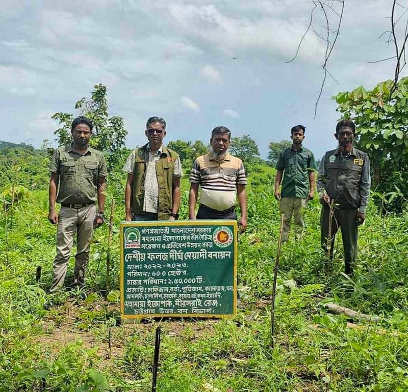 প্রথম আলো