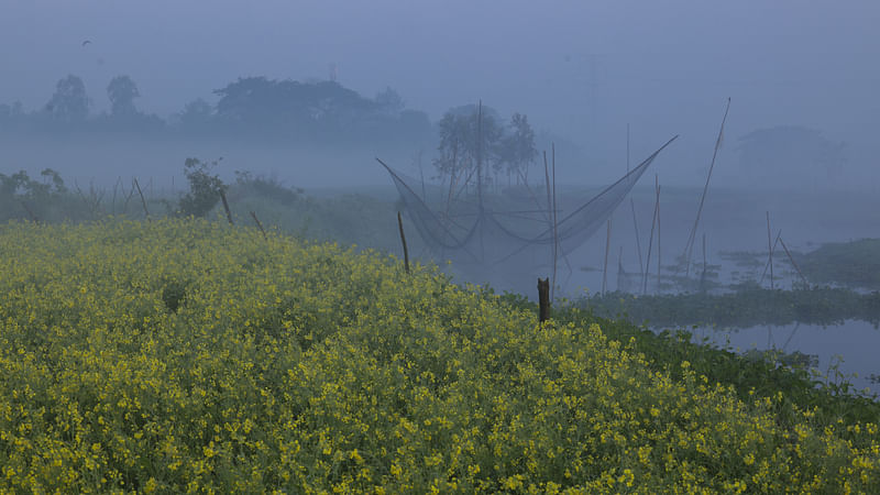 ছবি: কবির হোসেন