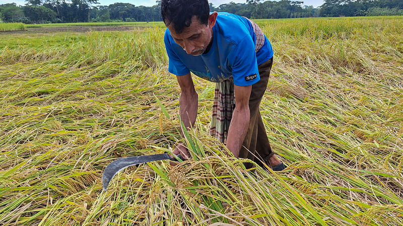 ছবি: প্রথম আলো