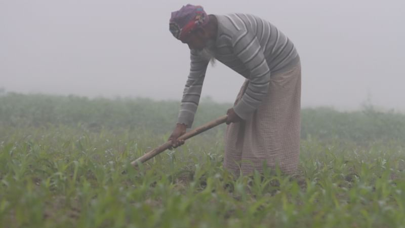 ছবি: মঈনুল ইসলাম