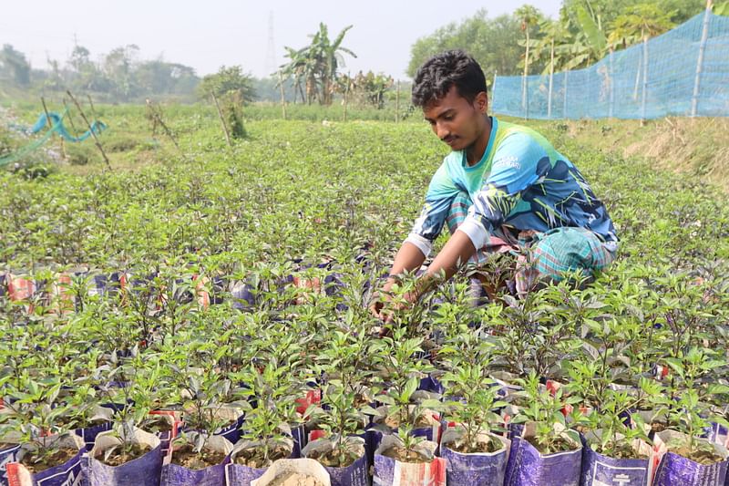 ছবি: এম সাদেক