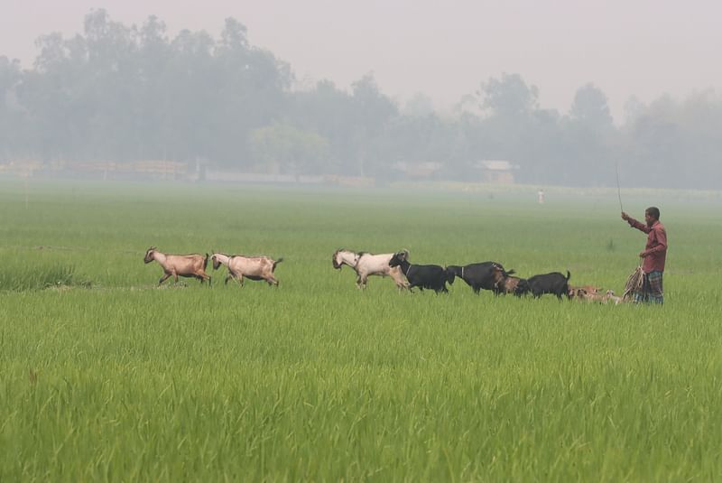  ছবি: মঈনুল ইসলাম 