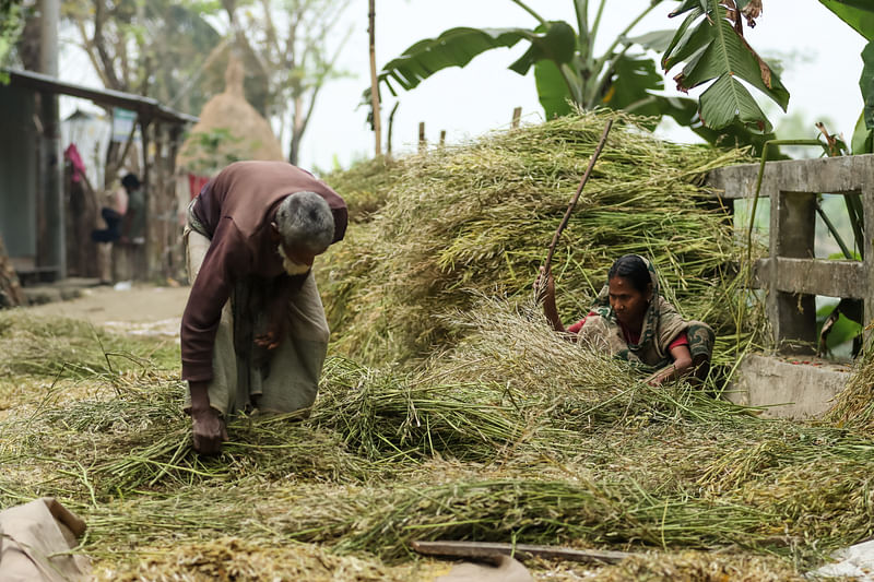 ছবি: সাইয়ান