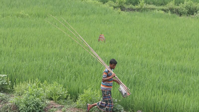 ছবি: মঈনুল ইসলাম