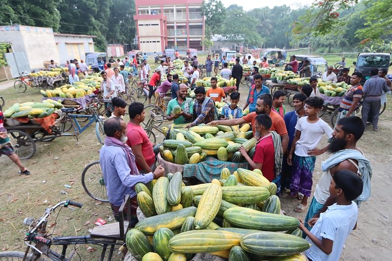 বিদ্যালয়ের মাঠে বসেছে বাঙ্গির হাট।