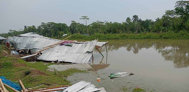 ছবি: প্রথম আলো 