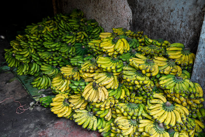 আড়তের একপাশে রাখা হয়েছে কাঁচা-পাকা কলা