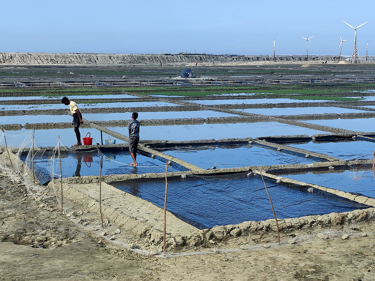 দ্বীপে প্রাকৃতিক উপায়ে লবণ চাষ করা হচ্ছে। 
